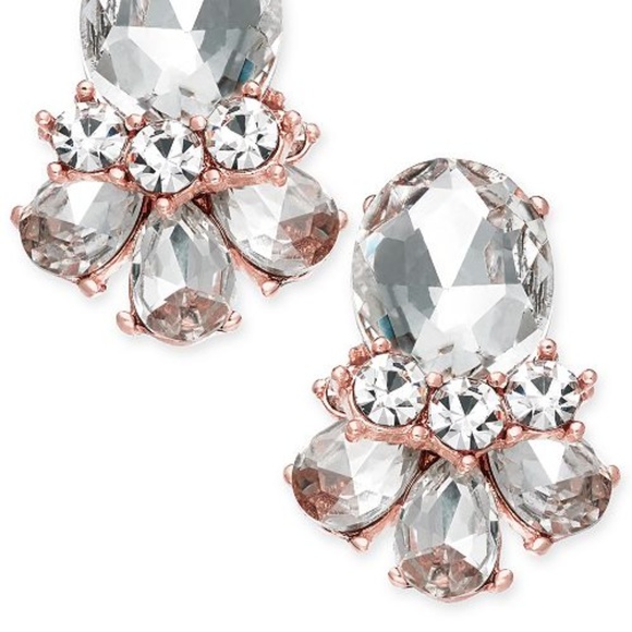 Charter Club Jewelry - BNWT Charter Club Sliver-Tone Crystal Cluster